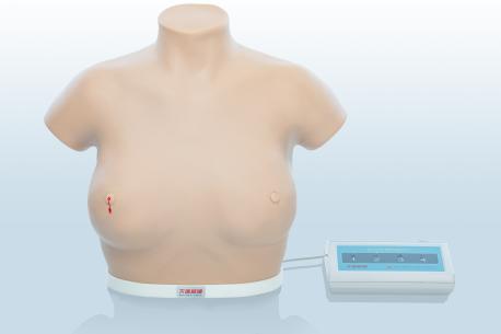 電子乳腺癌觸診、視診訓練模型