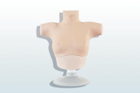 乳腺癌觸診、視診訓練模型